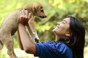 Adopting a pet is the most humane option